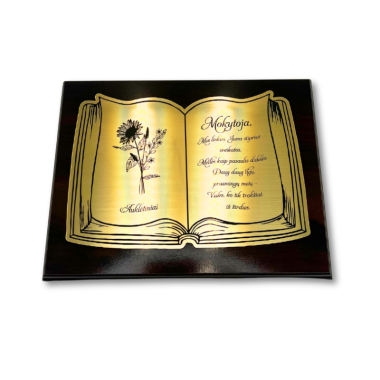 Mokytojui "Knyga" 20x25 cm