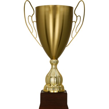 Taurė 1063A Taurė 1063A