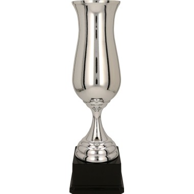 Taurė 4213A Taurė 4213A