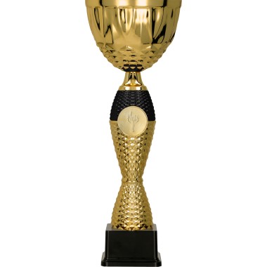 Taurė 4221B Taurė 4221B