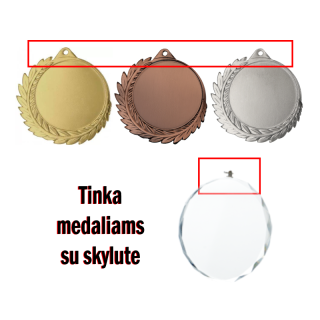 Juostelė sidabrinė 22 mm