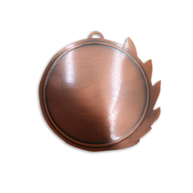 Bronzinis medalis 70 mm