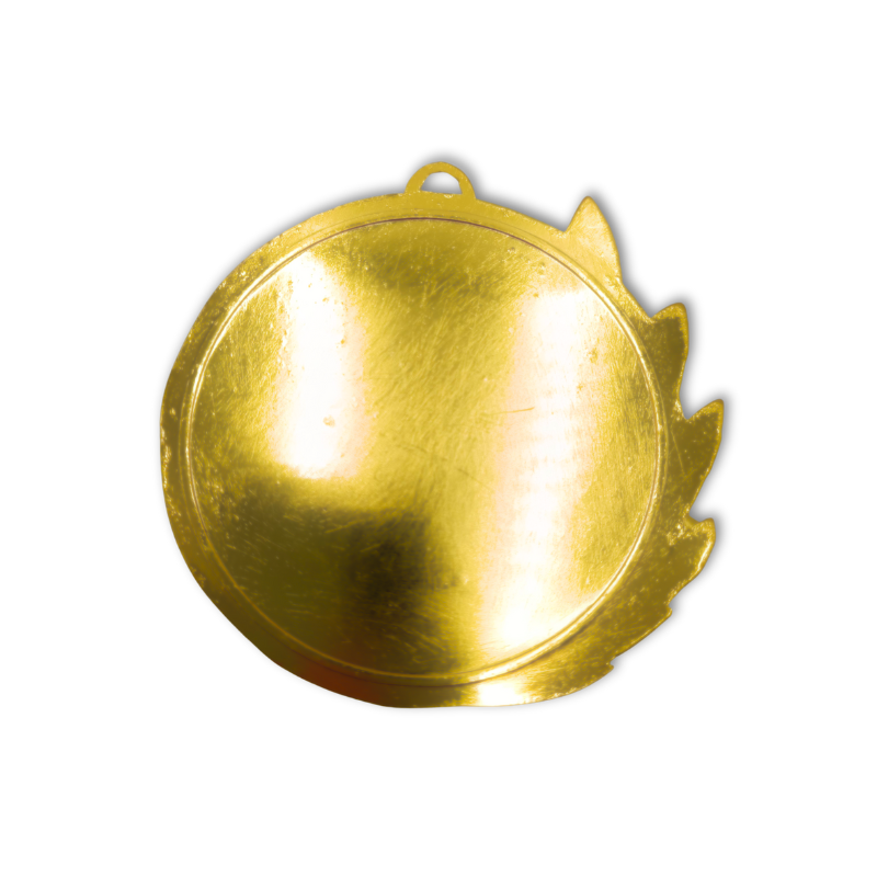 Auksinis medalis 70 mm