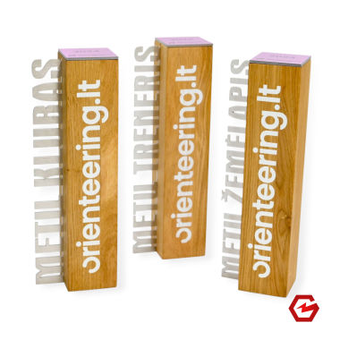 Individualus apdovanojimas 010