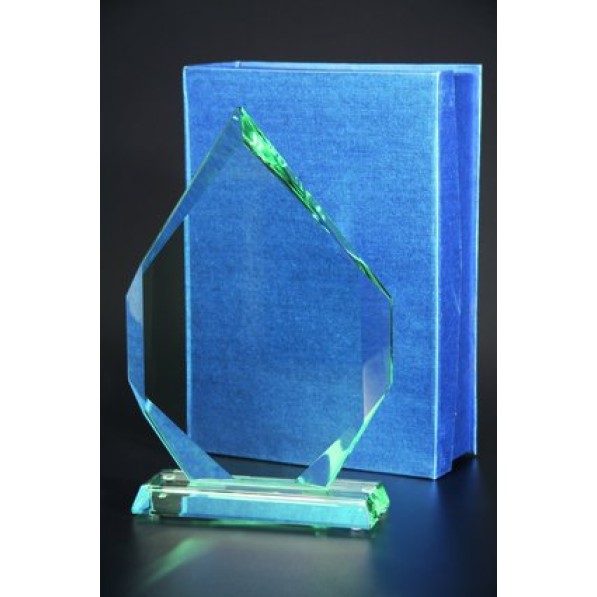 Stiklinis apdovanojimas G018