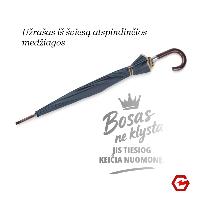 Skėtis „Bosas neklysta“