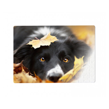 FOTO DELIONĖ 300x410mm