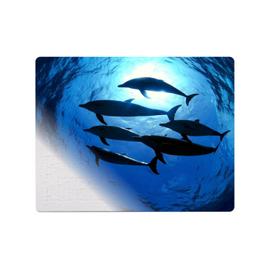 FOTO DELIONĖ 360x190mm