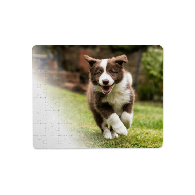 FOTO DELIONĖ 245 x 190 mm