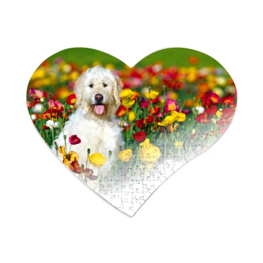 FOTO DELIONĖ „Širdis“ A3