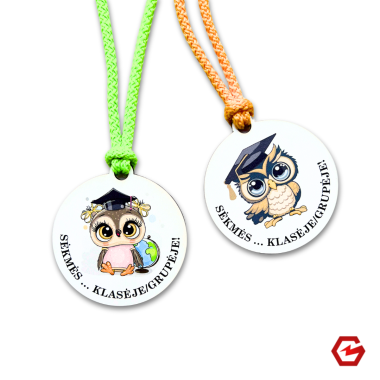 Medinis medalis klasės/grupės pavadinimu "Pelėdžiukai"