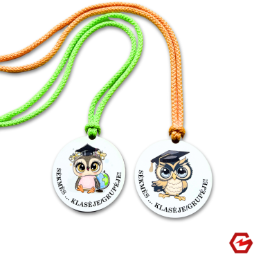 Medinis medalis klasės/grupės pavadinimu "Pelėdžiukai"