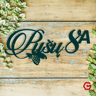 Gatvės užrašas ir namo numeris su akcentu