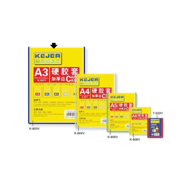 Daugiafunkcis dėklas A4 