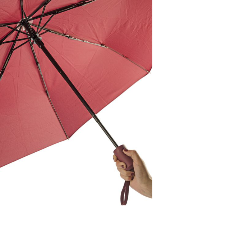 Skėtis REGO vyšninis