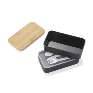 Pietų dėžutė su įrankiais COUPLE 960 ml